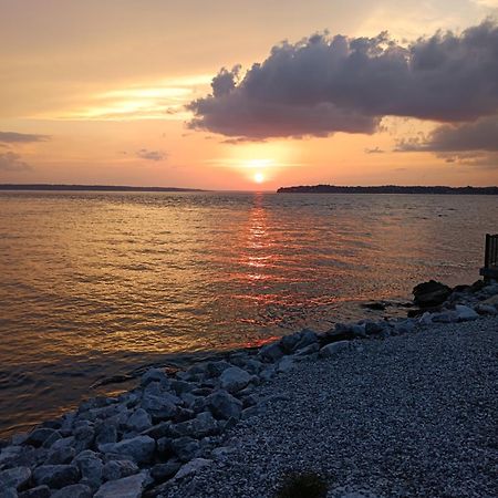 The Gemini-A Dreamy, Waterfront Tiny Cabin Rogersville エクステリア 写真