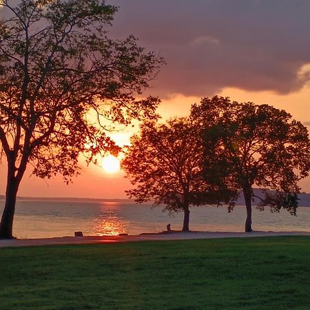 The Gemini-A Dreamy, Waterfront Tiny Cabin Rogersville エクステリア 写真